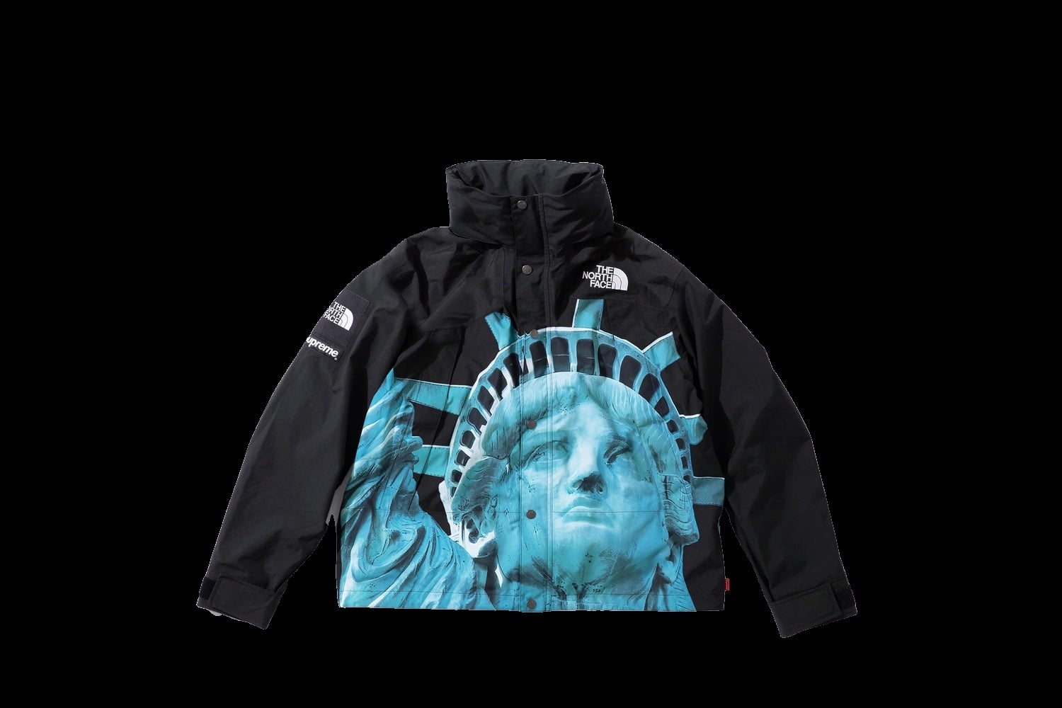 Supreme®/The North Face® Statue of Liberty Mountain Jacket view 24